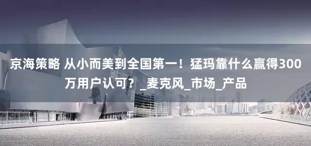 京海策略 从小而美到全国第一！猛玛靠什么赢得300万用户认可？_麦克风_市场_产品