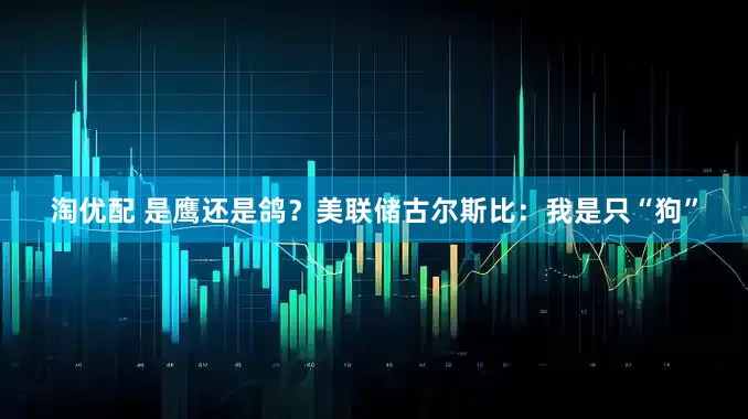 淘优配 是鹰还是鸽？美联储古尔斯比：我是只“狗”